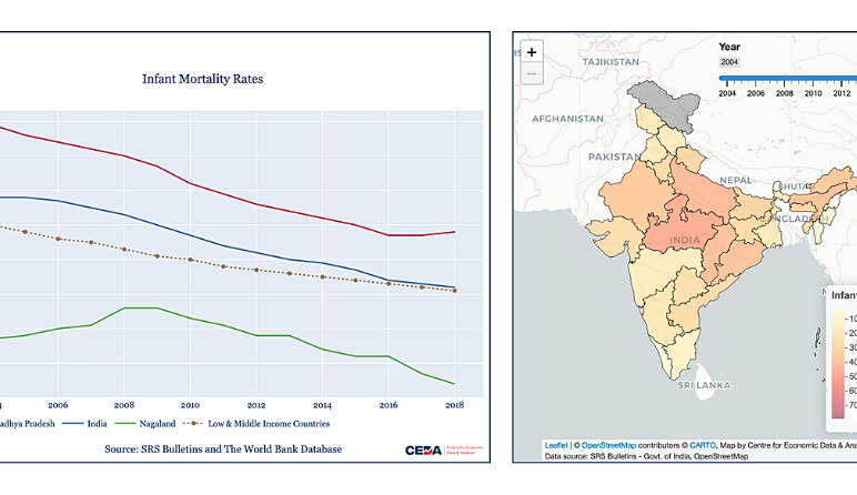 Picture This: Infant Mortality Rate